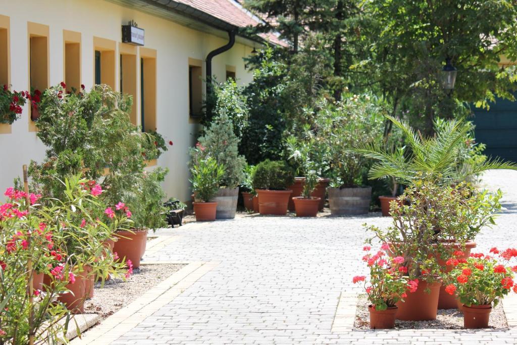 Levanda Panzio Kophaza Exterior photo